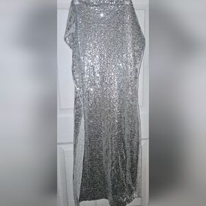 𝕊𝕚𝕝𝕧𝕖𝕣 ℙ𝕒𝕟𝕖𝕝𝕤